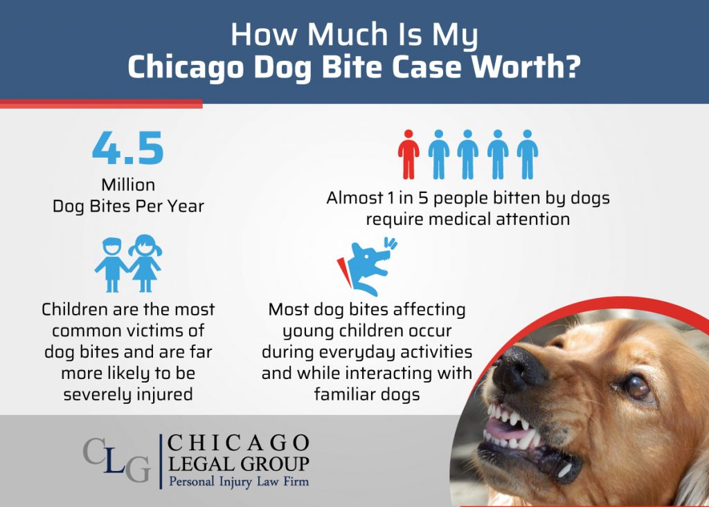 How Much Dog Bite Case Worth infographic 1024x733 1