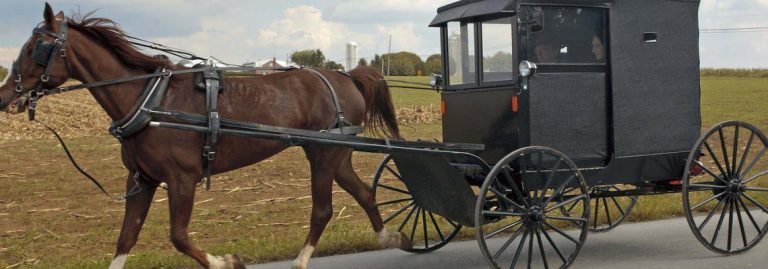 Can Amish Sue For Personsl Injury?