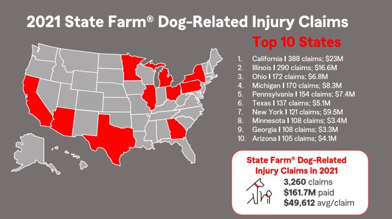 Does State Farm Renters Insurance Cover Dog Bites?