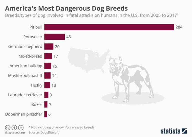 What Dog Breeds Bite The Most?