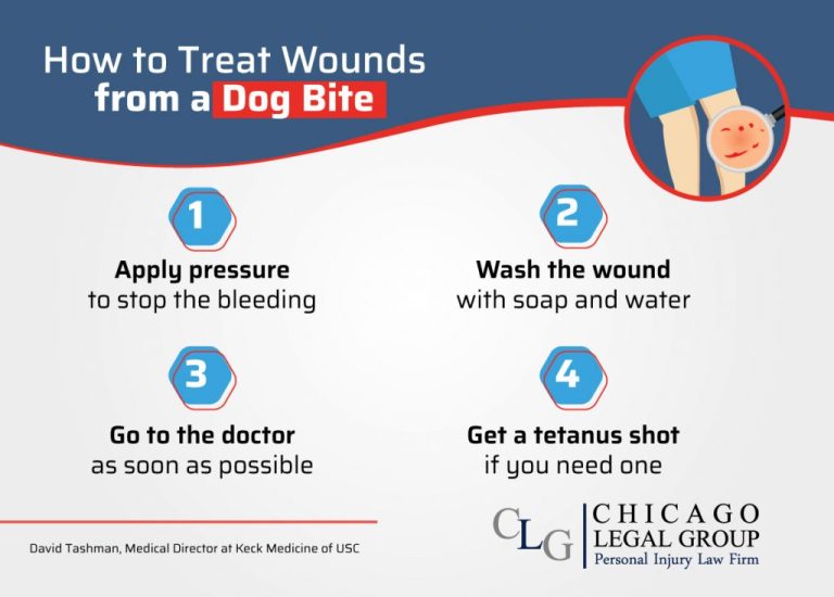 How To Care For Dog Bite Puncture Wounds?