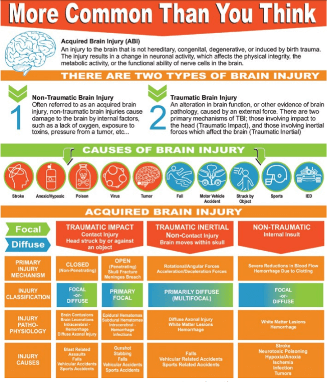 ABI20TBI20Infographic