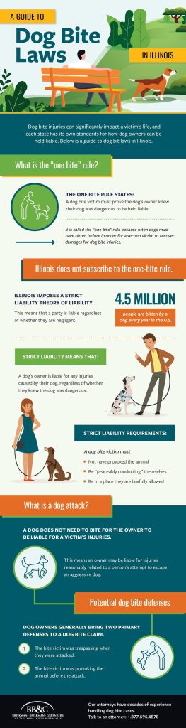 BBG DogBite infographic min