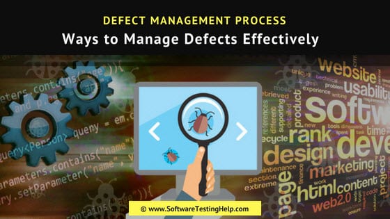 Defect Management Process