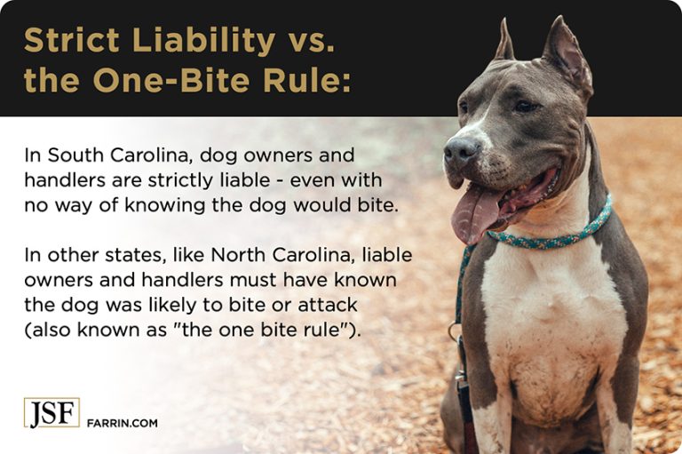 South Carolina Dog Bite Laws?