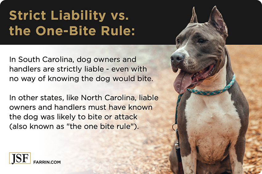 Dog bite liability south carolina