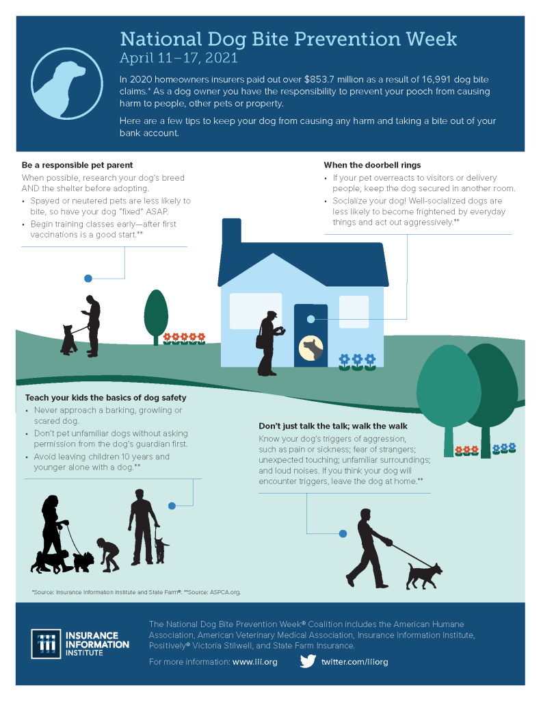 III dog bite infographic 2021