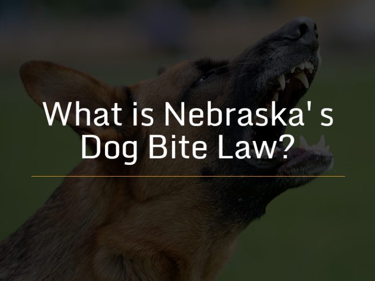 Nebraska Dog Bite Laws?