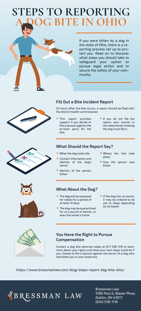 Steps to Reporting a Dog Bite