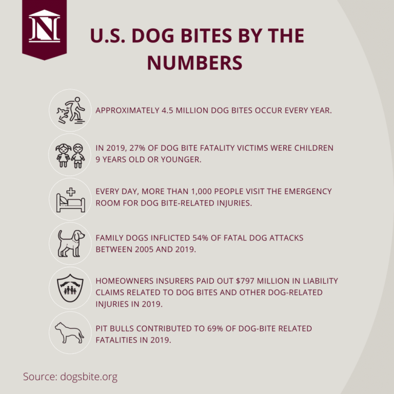 Minnesota Dog Bite Laws?