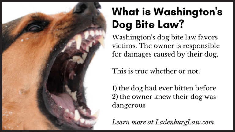 Washington Dog Bite Laws?