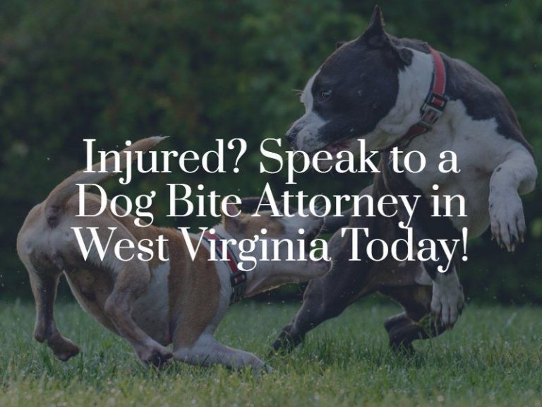 West Virginia Dog Bite Laws?