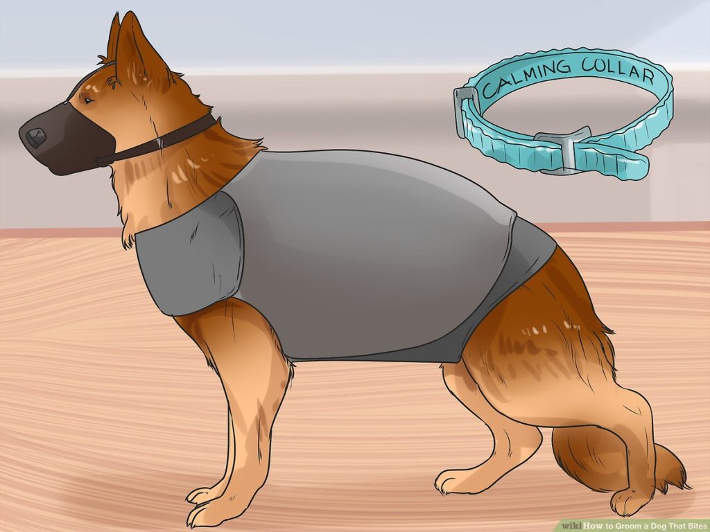 aid6601077 v4 1200px Groom a Dog That Bites Step 12