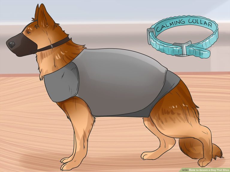 How To Groom A Dog That Bites?