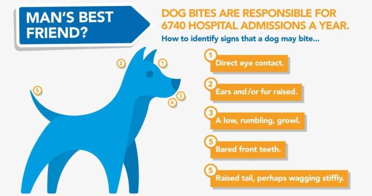 Do Hospitals Have To Report Dog Bites?