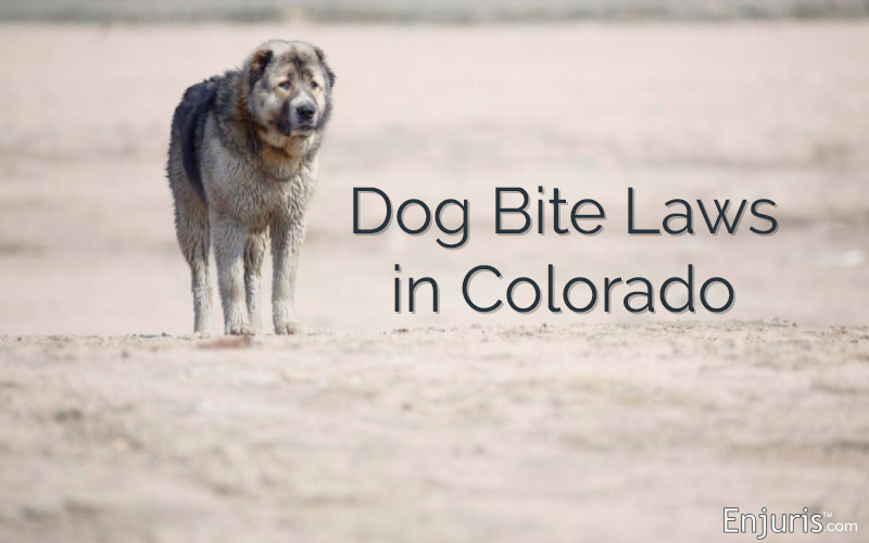 dog bite law