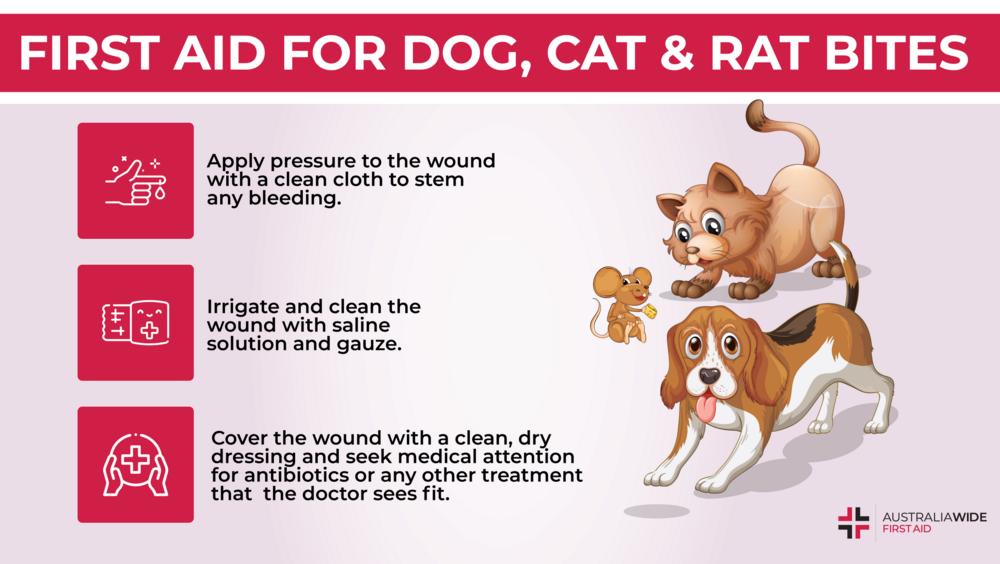 first aid for dog cat rat bites 1000w