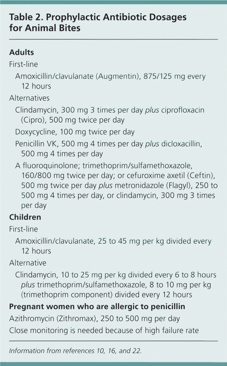 Do Dog Bites Need Antibiotics?