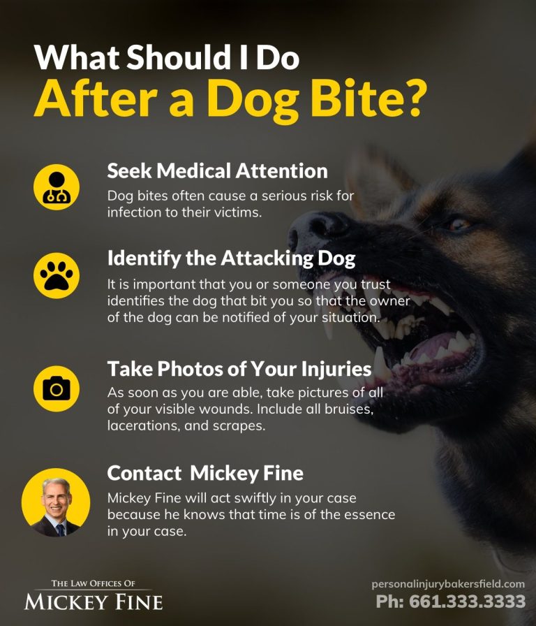 What Happens If Your Dog Bites Someone In California?