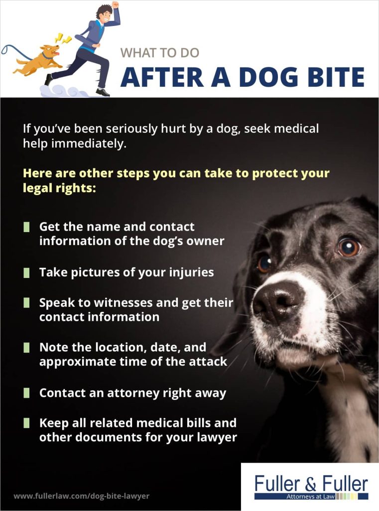 what to do after a dog bite