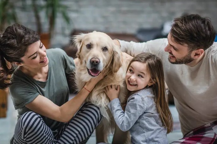 Does Usaa Renters Insurance Cover Dog Bites